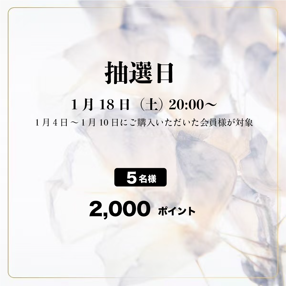 58周目イベント